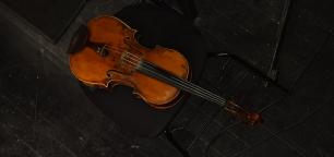 Violino